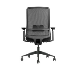 Scaun ergonomic 30.12.102